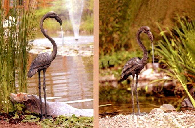 Flamingo .jpg